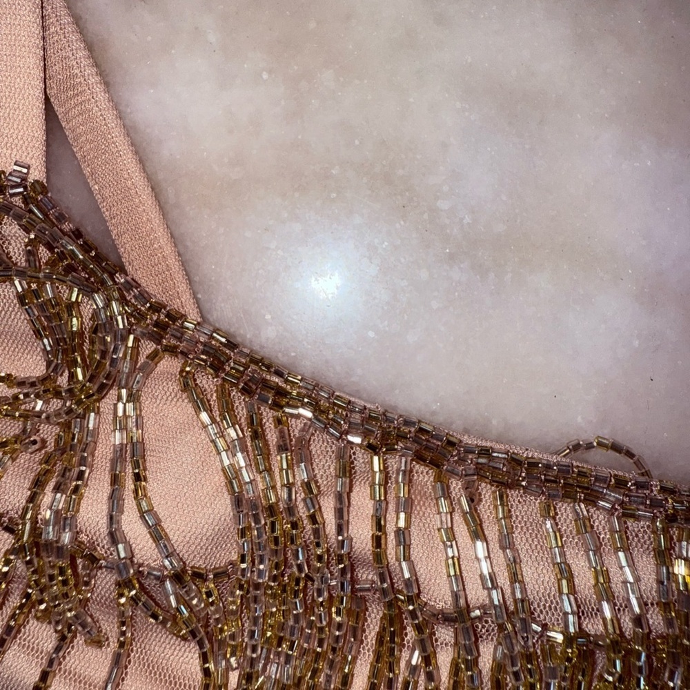 NWT Adrianna Papell Beaded Fringe Mesh Slip dress rose gold size 14 - Picture 11 of 14